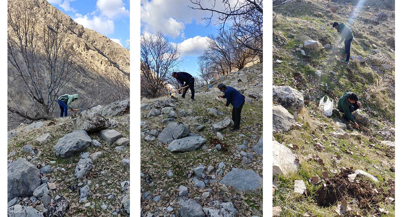 روستای الگن 